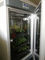 Incubateur artificiel de boîte de croissance de plantes de machine de germination de graine de climat de chambre de croissance de plantes