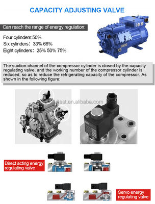 Fabrication d'une salle d'essai environnementale de grande capacité dans une chambre climatique avec contrôle de l'humidité