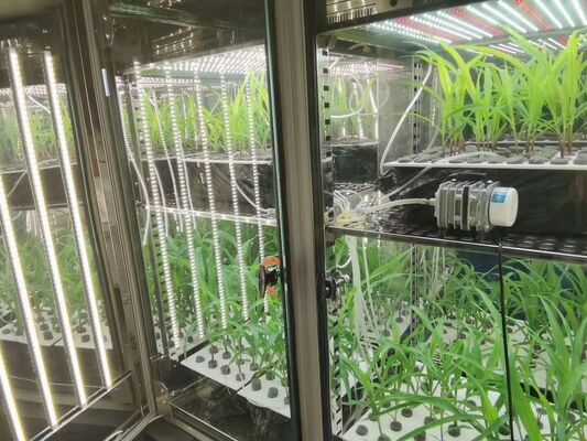 LIYI Prix de la chambre d'incubateur de croissance végétale à vendre